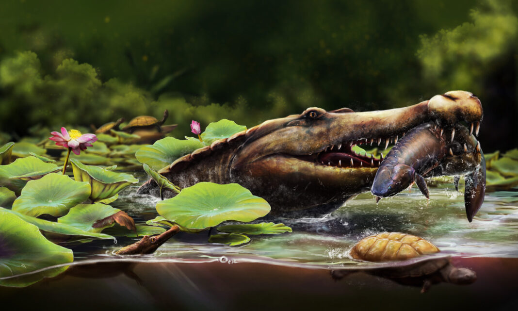 Earliest-long-snouted-fossil-crocodile-from-Egypt-reveals-the-African-origins.jpg