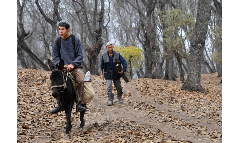 Average temperatures in Central Asia have risen by around twice the global average since 1991