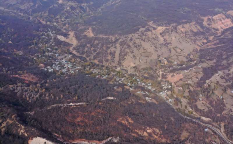 Human activity is also taking a toll on the forest. Human activity is also taking a toll on the forest