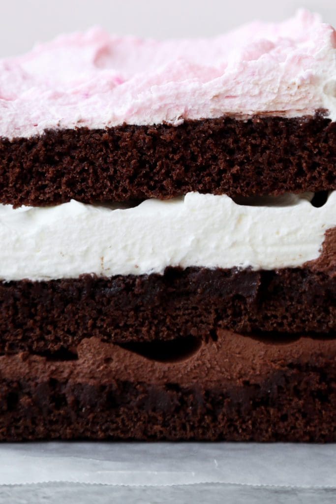 A Neapolitan Birthday Cake Recipe by Joy the Baker a close up image of a neapolitan birthday cake made with chocolate cake and flavored whipped cream.